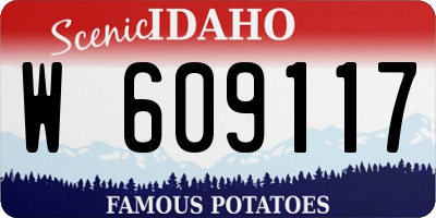 ID license plate W609117