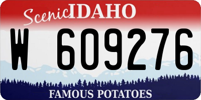 ID license plate W609276