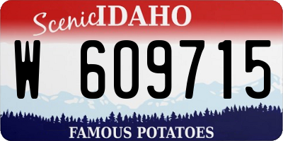ID license plate W609715