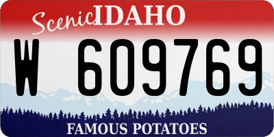 ID license plate W609769