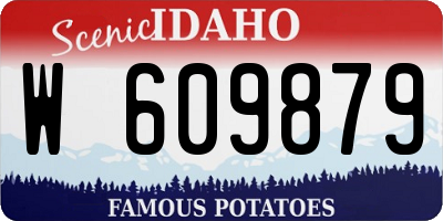 ID license plate W609879