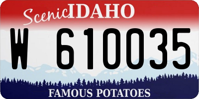 ID license plate W610035