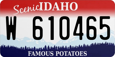 ID license plate W610465