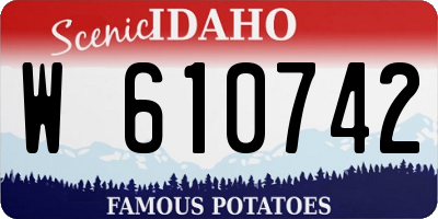 ID license plate W610742
