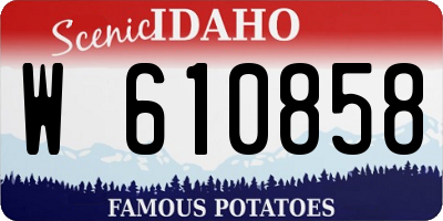 ID license plate W610858