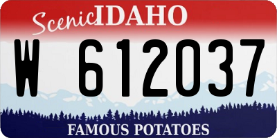 ID license plate W612037