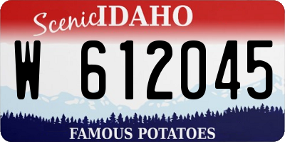 ID license plate W612045