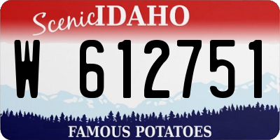 ID license plate W612751