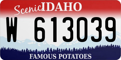 ID license plate W613039