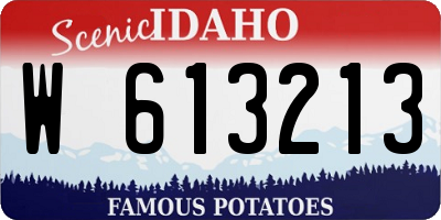 ID license plate W613213
