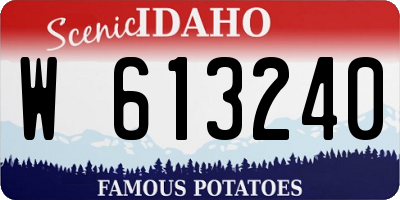 ID license plate W613240