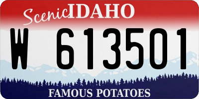 ID license plate W613501