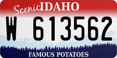 ID license plate W613562