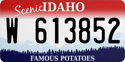 ID license plate W613852