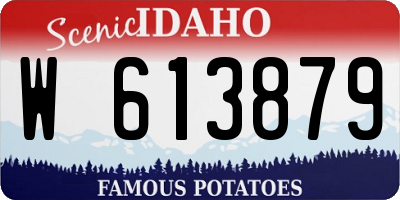 ID license plate W613879