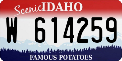 ID license plate W614259