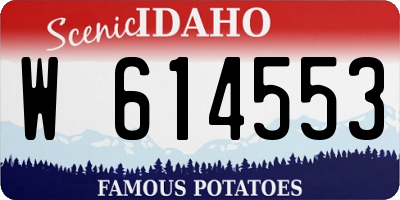 ID license plate W614553