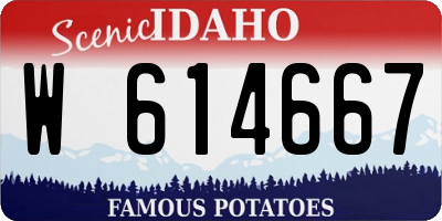 ID license plate W614667