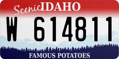 ID license plate W614811