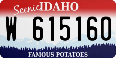 ID license plate W615160