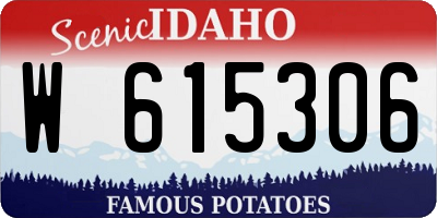 ID license plate W615306