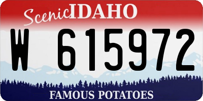 ID license plate W615972
