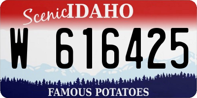 ID license plate W616425