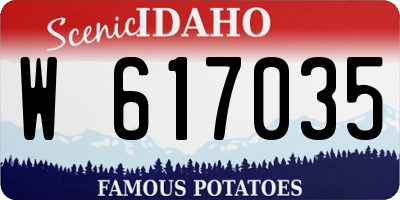 ID license plate W617035