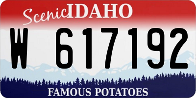 ID license plate W617192