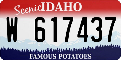 ID license plate W617437