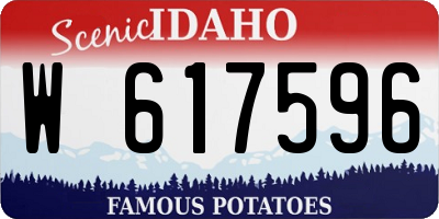 ID license plate W617596