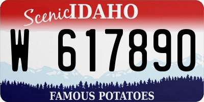 ID license plate W617890