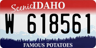 ID license plate W618561