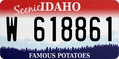 ID license plate W618861