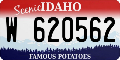 ID license plate W620562