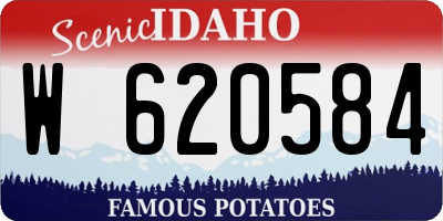 ID license plate W620584