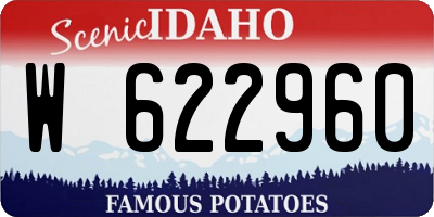 ID license plate W622960