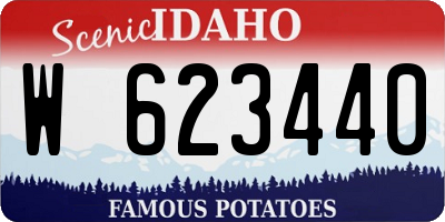 ID license plate W623440