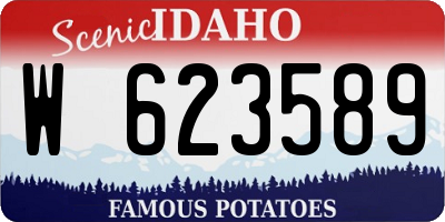 ID license plate W623589