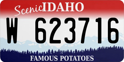 ID license plate W623716