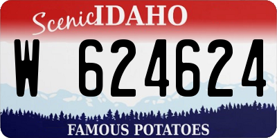 ID license plate W624624