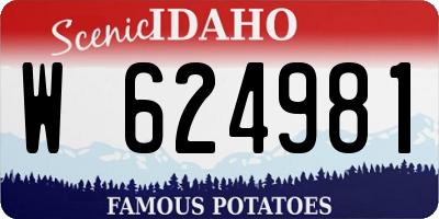 ID license plate W624981