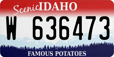 ID license plate W636473