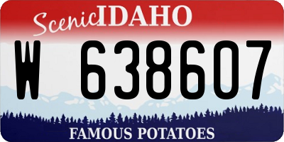 ID license plate W638607