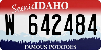 ID license plate W642484