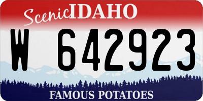 ID license plate W642923