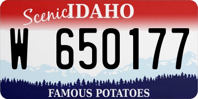 ID license plate W650177
