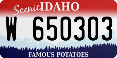 ID license plate W650303