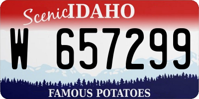 ID license plate W657299