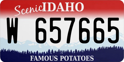 ID license plate W657665